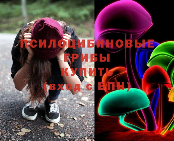 ешки Арсеньев