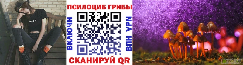 Галлюциногенные грибы ЛСД  магазин продажи наркотиков  Луза 